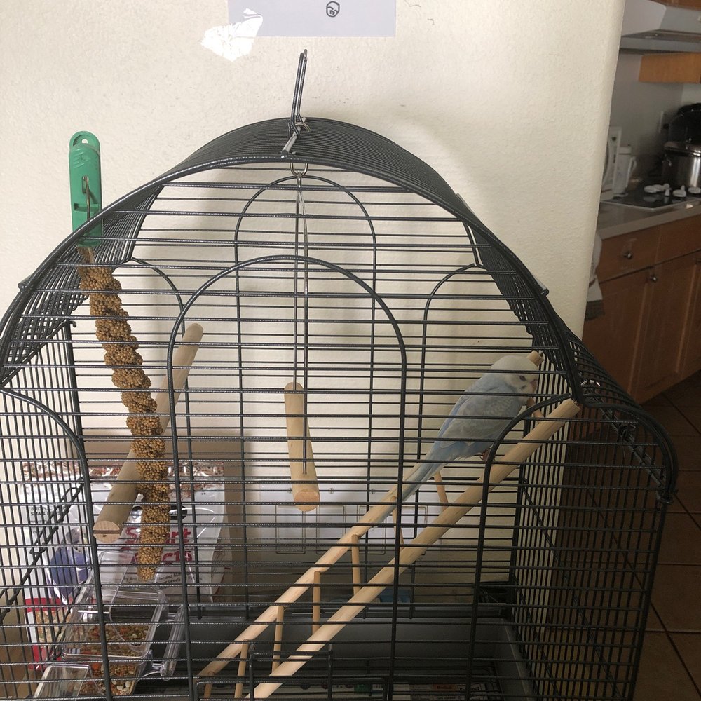 Petco - Pet Stores Near Me - Ewa, Hawaii Petco - Pet Stores Near Me - Ewa, Hawaii
