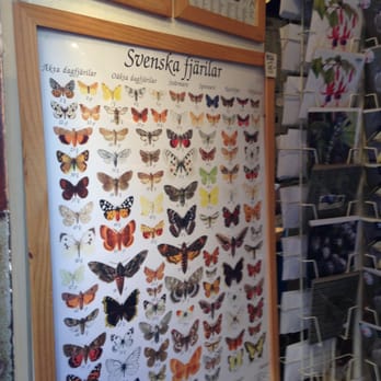 Znogg - Prints of butterflies, hunden, mammals, and birds available in several different sizes (even postcards). - Home Decor Near Me - Stockholm, Alberta