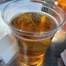 Modelo on tap! Modelo on tap!