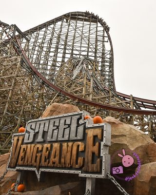 Steel Vengeance by null