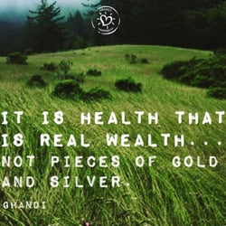 Puja Wentworth, DC, PSc.D - Health is Wealth #drpuja
