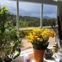 Sacred Touch - Beautiful morning Sun and view from my office.