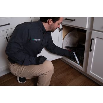 Waynes Pest Control - Pest Control Near Me - Panama City, Florida Waynes Pest Control - Pest Control Near Me - Panama City, Florida