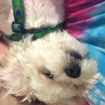 Pets Plus - Wolfie - Pet Stores Near Me - Stafford, Virginia