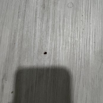 Merriam Gateway Apartments - More bed bugs - Apartments Near Me - Newton, New Jersey Merriam Gateway Apartments - More bed bugs - Apartments Near Me - Newton, New Jersey