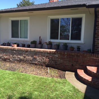 Clean Choice - They put all my plants back neater than they were before! - Window Washing Near Me Clean Choice - They put all my plants back neater than they were before! - Window Washing Near Me