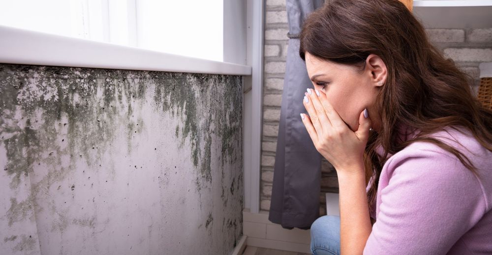 Fast Mold Testing - mold inspector in Los Angeles, CA