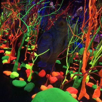 The Real Unreal - Meow Wolf - Art Museums Near Me - Grapevine, Texas
