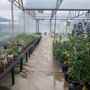 Calloway's Nursery - Plants galore - Nurseries & Gardening Near Me - Arlington, Texas