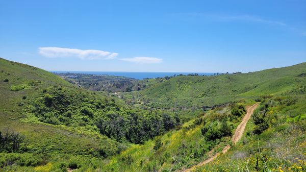 Zuma Canyon Trail by null