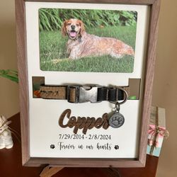 Byron Center Pet Boarding