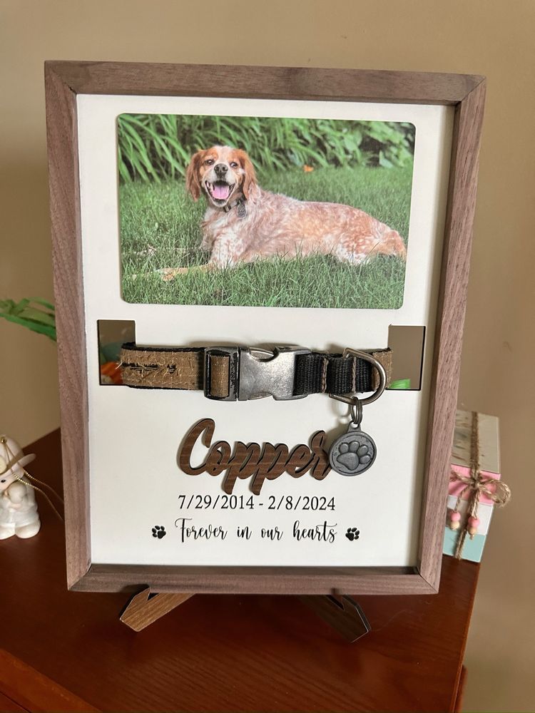 Byron Center Pet Boarding - pet boarding facility in Byron Township, MI