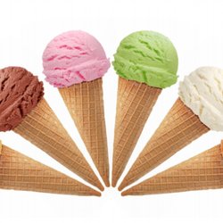 The Ice Cream Shoppe