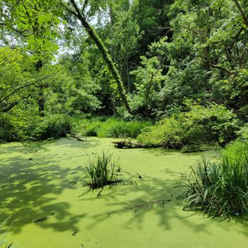 Creekside - Big Walnut Creek Bog - Parks Near Me - Gahanna, Ohio