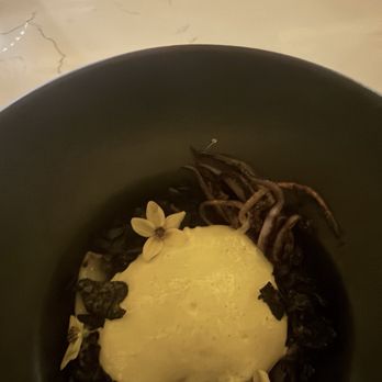 Course Restaurant - Squid - New American Near Me - Scottsdale, Arizona Course Restaurant - Squid - New American Near Me - Scottsdale, Arizona