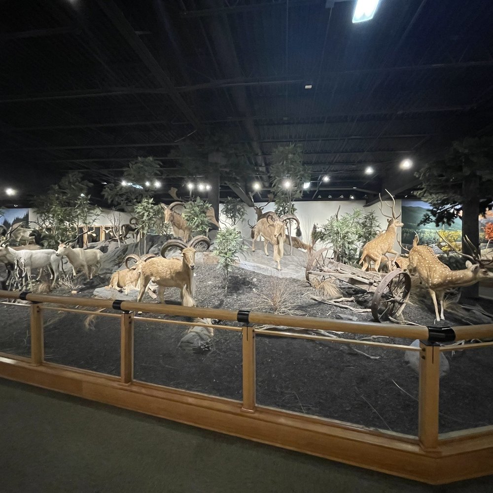 Cabela's - Outdoor Gear Near Me - Buda, Texas