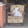 Photo of Jim's Fabrics & Upholstery