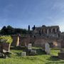 Palatino