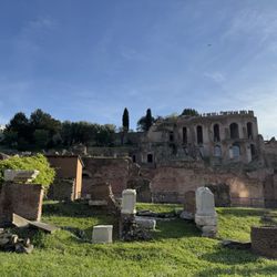 Palatino - Domus Tiberiana - imperial palace on Palantine Hill