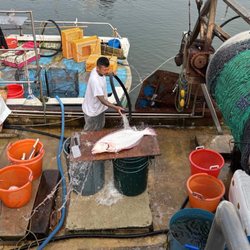 Ventura Fresh Fish - Cleaning halibut in boat