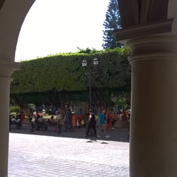 Jardín Principal - Jardín Principal visto desde los arcos