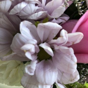 Yelm Floral - Eek. IMO, For $60 better look better than this the same day. - Florists Near Me - Yelm, Washington