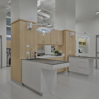 Blue Ash Veterinary Hospital - Veterinarians Near Me - Blue Ash, Ohio Blue Ash Veterinary Hospital - Veterinarians Near Me - Blue Ash, Ohio