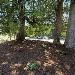 Juan's Landscaping and Cutting Trees Contractor - After photo