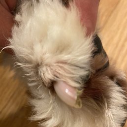 Nails--- they were black?