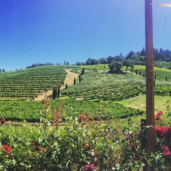 A Rafanelli Winery - Incredible views, wine, and pizza made in their outdoor brick oven - Wineries Near Me - Healdsburg, California A Rafanelli Winery - Incredible views, wine, and pizza made in their outdoor brick oven - Wineries Near Me - Healdsburg, California