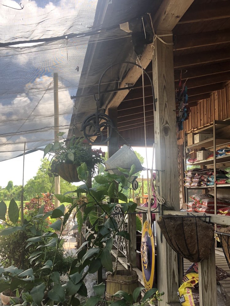 LEX PLANT FARM 21 Photos Nurseries &amp; Gardening 9045