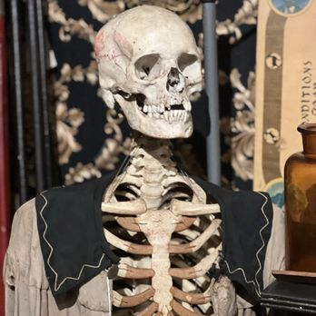 Prometheus Esoterica - Antiques Near Me - Winter Park, Florida