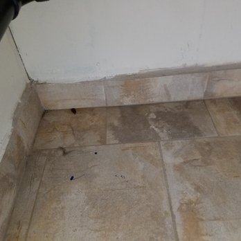 Windemere Hotel and Conference Center - Cockroach in the corner. - Venues & Event Spaces Near Me - Mesa, Arizona Windemere Hotel and Conference Center - Cockroach in the corner. - Venues & Event Spaces Near Me - Mesa, Arizona