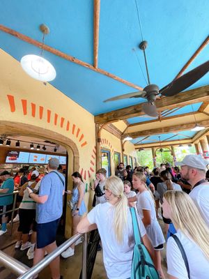 Busch Gardens Tampa Bay by null