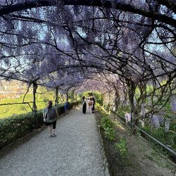 Giardino Bardini