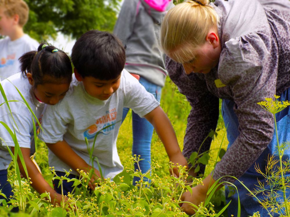 Educare - childcare center in Joliet, IL
