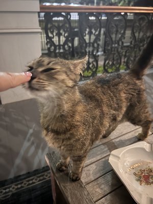 Ashton's Bed and Breakfast by null