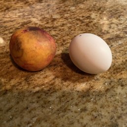 Bruised and rotten Frog Hollow Nectarine next to a large egg!
