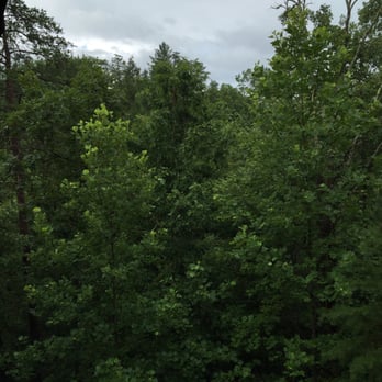 Jackson's Starry Nite Sky Cabin - Vacation Rentals Near Me - Sevierville, Tennessee