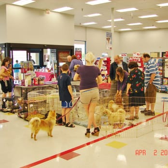 Petco - Store is always clean busy with activity! - Pet Stores Near Me - Brea, California Petco - Store is always clean busy with activity! - Pet Stores Near Me - Brea, California
