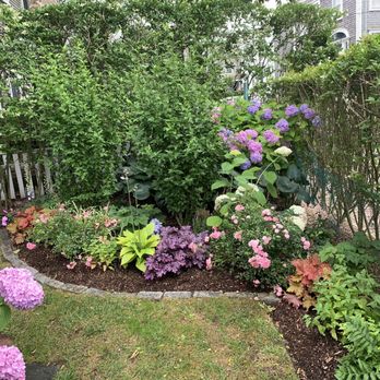 Deborah L. Wilson Garden Services - Close up view - Landscaping Near Me - Nantucket, Massachusetts