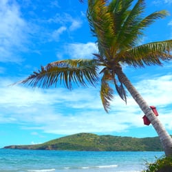 Map Me Adventure - Left Side of Flamenco Beach