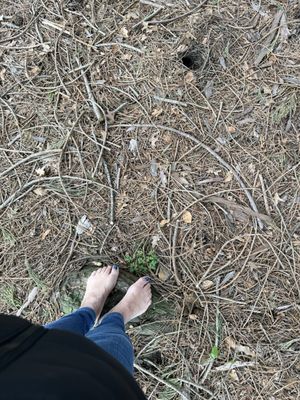 Volunteer Park Conservatory by null