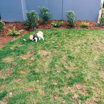 Altitude Apartments - Dog area - Apartments Near Me - Renton, Washington Altitude Apartments - Dog area - Apartments Near Me - Renton, Washington