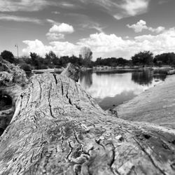 Tingley Field Park - One of the many places within the park to sit and enjoy the beautiful surroundings.
