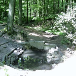 Lohbachquelle - Hier beginnt der Lohbach mit einer kleinen Quelle mitten im Schwerter Wald