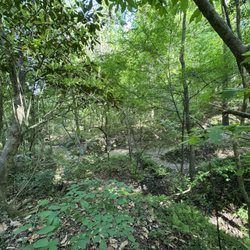 A.J. Henry Park