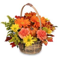 Hengstenberg's Florist - Love THAT pumpkin