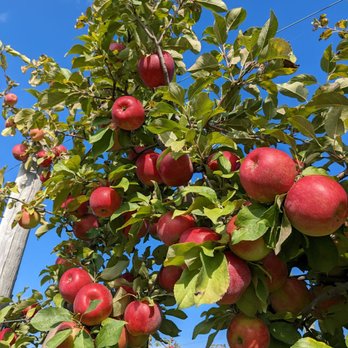 Peck And Bushel Fruit Company - Pick Your Own Farms Near Me - Colgate, Wisconsin Peck And Bushel Fruit Company - Pick Your Own Farms Near Me - Colgate, Wisconsin