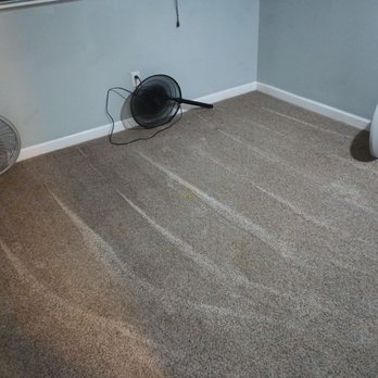 High Maintenance Cleaning - They wanted to make sure my floors were dry asap so went the extra mile. - Home Cleaning Near Me High Maintenance Cleaning - They wanted to make sure my floors were dry asap so went the extra mile. - Home Cleaning Near Me